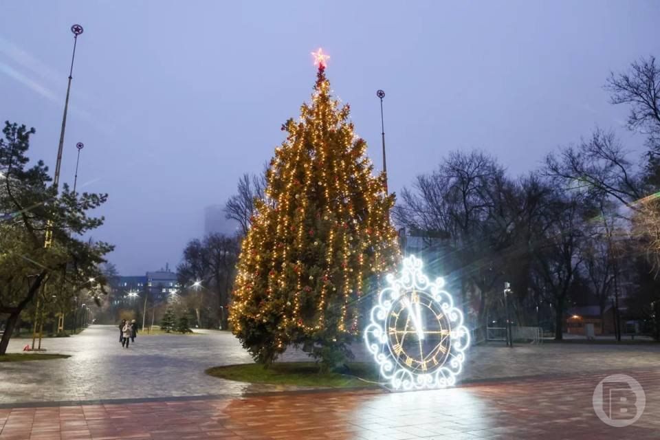 Снег и мороз: прогноз для Волгограда на ближайшую неделю