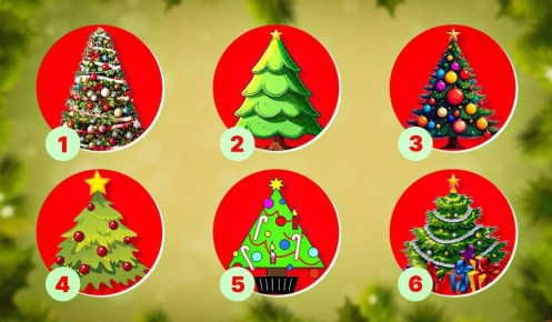 Как новогодняя елка может раскрыть тайны вашей личности