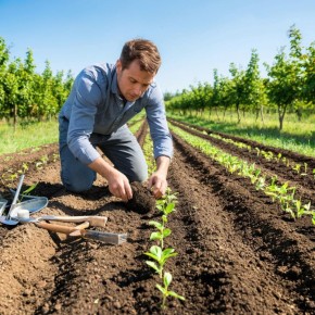 Создание самодельной сеялки для эффективного высева